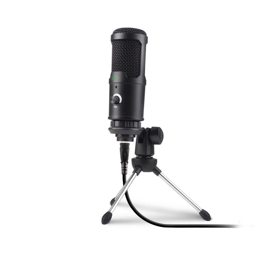 Professional Condenser Recording Microphone