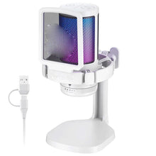 Gaming Condenser Microphone with Noise Canceling Mic