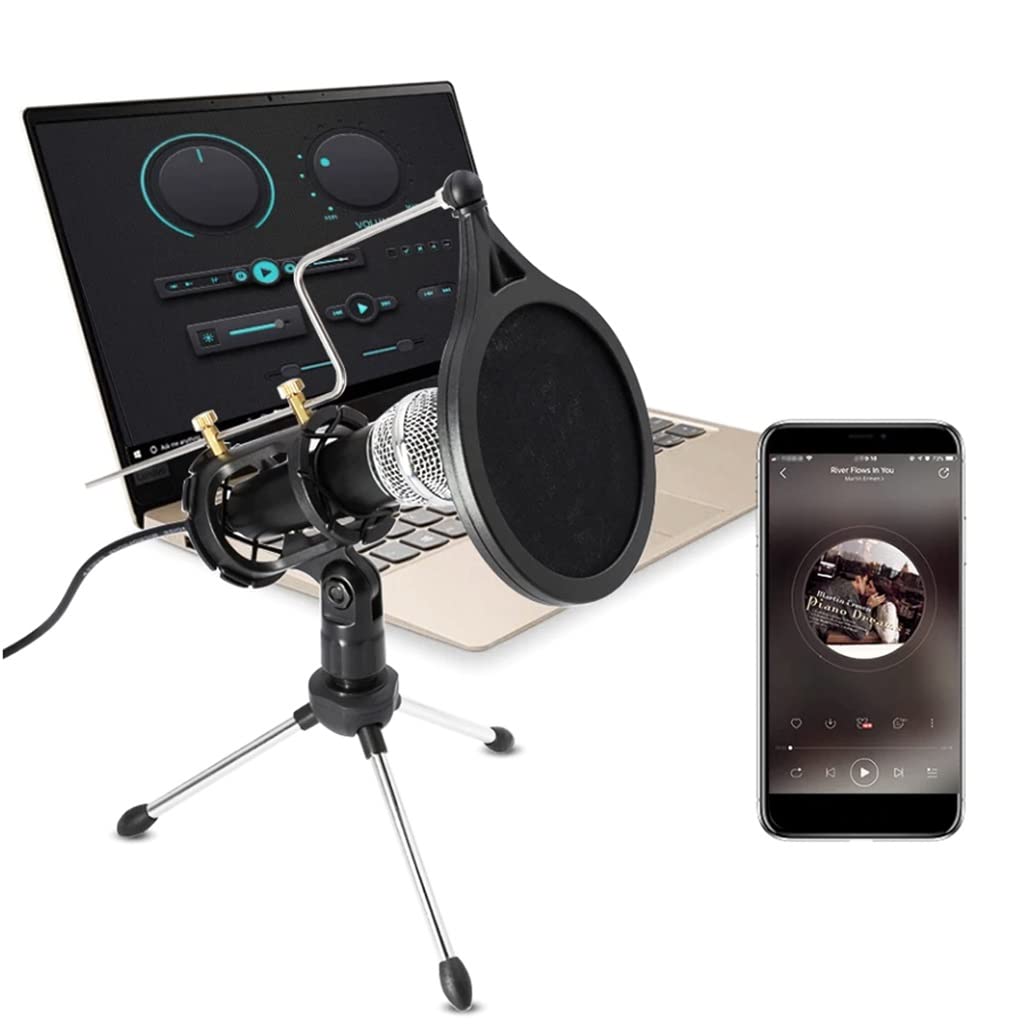 Professional Condenser Recording Microphone