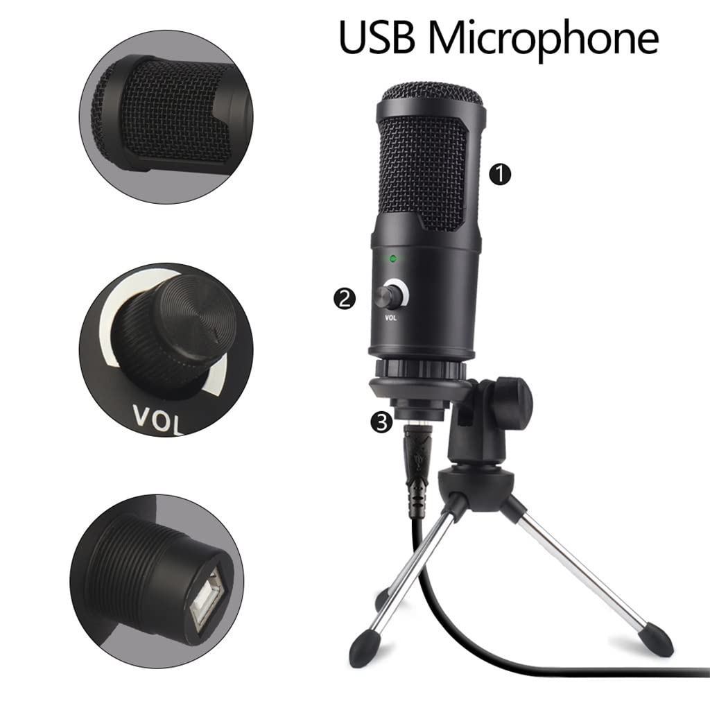 Professional Condenser Recording Microphone